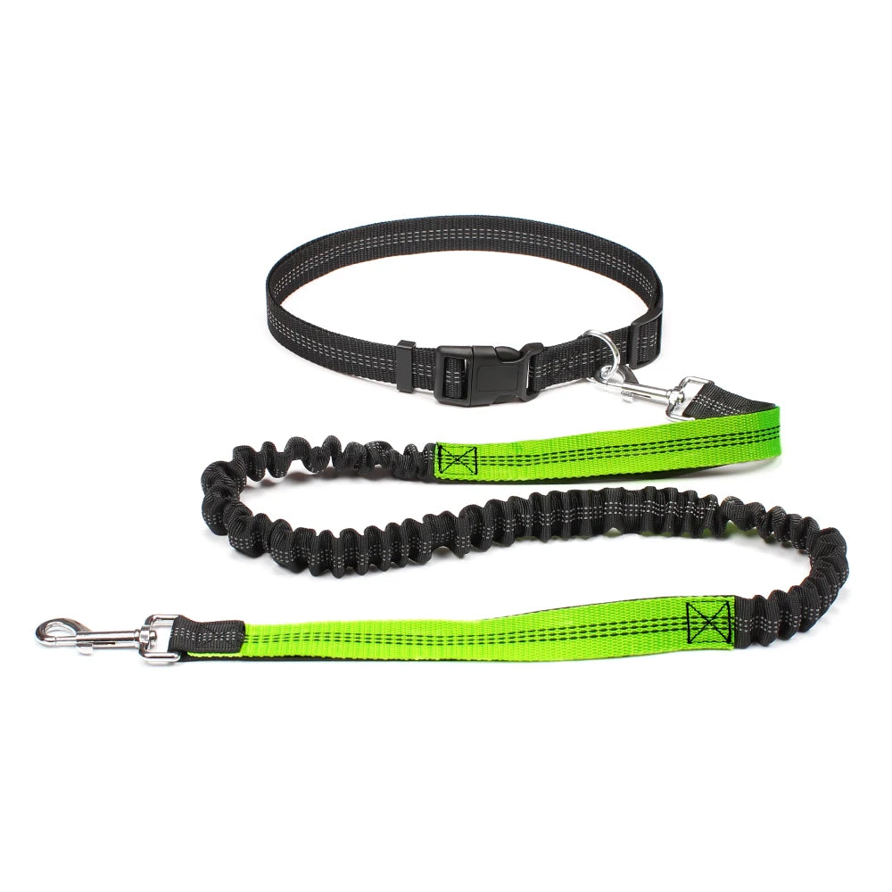 DPI:99f827958d41 Hands-Free Bungee Dog Leash for Running & Walking - 4