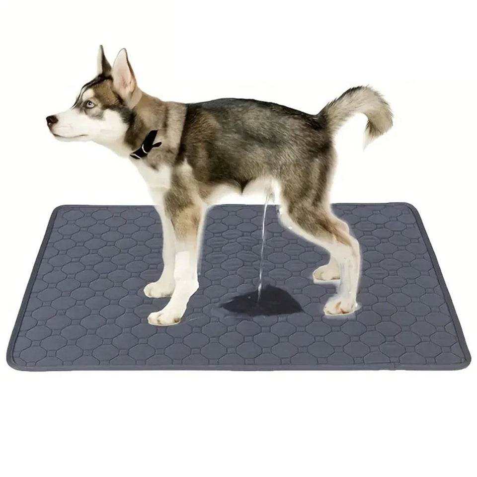 DPI:9850d33f362b Washable Reusable Dog Pee Pads — Non-Slip, Leak-Proof & Stylish - 1