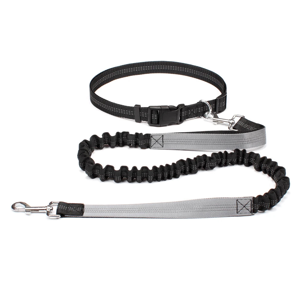 DPI:8b78024d8d4b Hands-Free Bungee Dog Leash for Running & Walking - 2