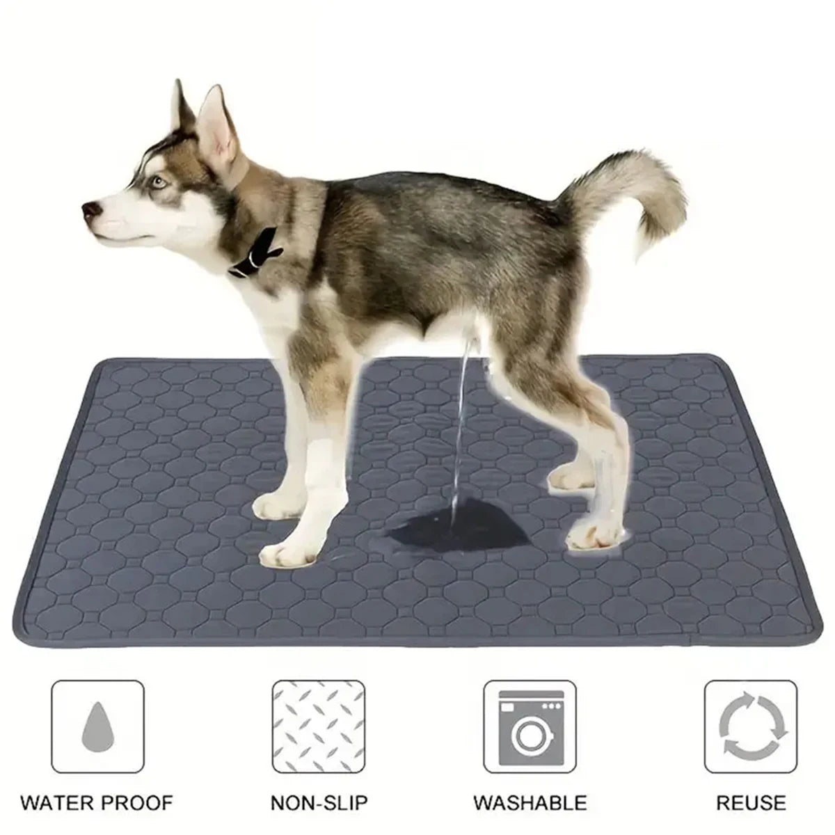 DPI:d9d2a92529c7 Reusable Dog Pee Pad – Washable, Non-Slip, Waterproof Training Mat for Puppies & Senior Dogs - 6