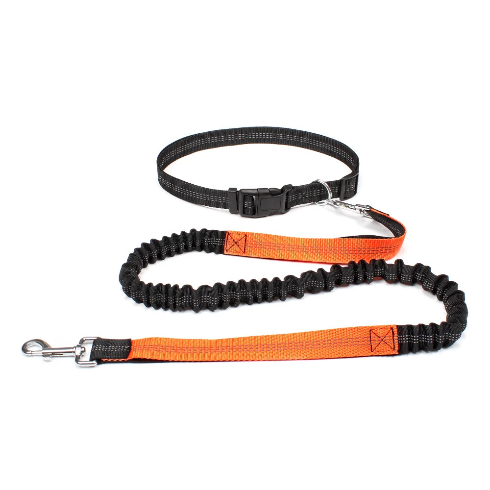 DPI:0c02a6efe57b Hands-Free Bungee Dog Leash for Running & Walking - 3