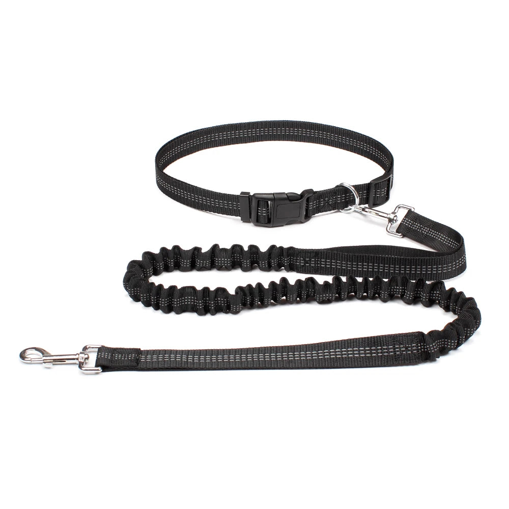 DPI:04519cfa2423 Hands-Free Bungee Dog Leash for Running & Walking - 1