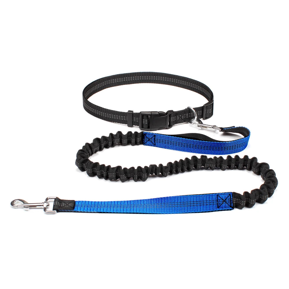 DPI:098024da3379 Hands-Free Bungee Dog Leash for Running & Walking - 5